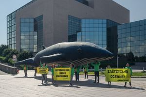 Divovski kit pred NSK-om: Greenpeace traži očitovanje Vlade po pitanju oceana!