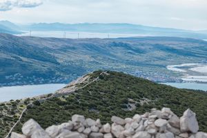 Birdwatching na Kolanjskom blatu