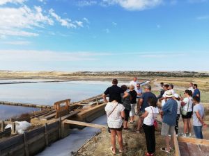 Početak nove sezone proizvodnje u poljima soli Solane Pag najavljuje i početak skorih organiziranih obilazaka za javnost