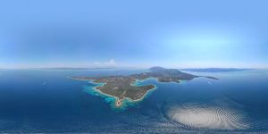 Omiljenoj stanovnici Lovišta stradaloj pod brodskim propelerom ronioci posvećuju akciju čišćenja mora