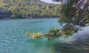 Važan poziv vlasnicima polja na Mljetu: "Dobili smo EU novac, ali trebamo vašu suglasnost..."