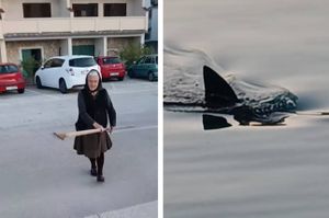 Baka na rivi u Tisnom ostima lovila hobotnicu, a onda se pojavio morski pas