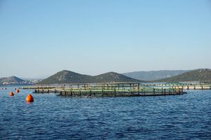 Zbog klimatskih promjena bit će potrebno sve više inovacija u poljoprivredi i akvakulturi