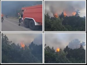VATRENA STIHIJA Na Braču opožareno oko 1,25 hektara borovine, makije i niskog raslinja