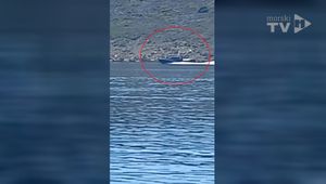 UNATOČ ZABRANI Glisiranje carine ispod Krčkog mosta - Ovo su najvažnija pravila o glisiranju u Jadranu!