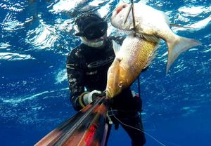 Memorijalni kup otoka Pašmana u podvodnom ribolovu - Spoj sporta, prirode, poduzetništva i gastronomije