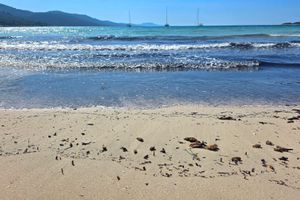 HRVATSKA POD POVEĆALOM Nema više šminke – ovo je stvarno lice Jadrana: "Globalno se prikazuje edukativno - turistički serijal o našoj obali!"