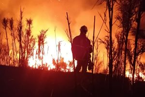 Vatrogasci Malog Lošinja proslavili rođendan