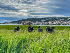 Institut za oceanografiju: "Obnova morskih i slatkovodnih staništa ključna za zaštitu bioraznolikosti i smanjenje negativnih utjecaja na okoliš"
