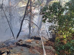 Kako su Srbi postali "Ovi-Oni", a teroristi domaći koji njivu obrađuju benzinom, jednom godišnje spajajući vikende i praznike?