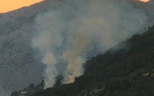 Policija moli građane da prijave teroriste koji se dovode u vezu s požarima na području Tučepa!