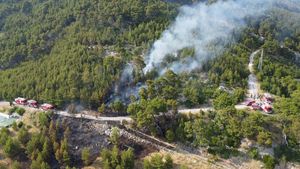 Vatrogasci danas izdali upozorenje: "Oprez! Vrlo je velika opasnost od nastanka požara!"