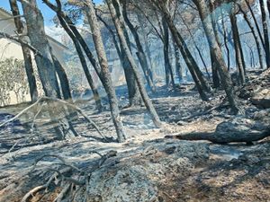 Kod Piska izgorjela površina je 300 hektara , gasitelji dežurali cijelu noć! Ozlijeđen vatrogasac i nekoliko građana