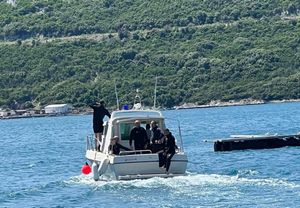 U Neumu prijavljeno utapanje, no osoba nije pronađena - Je li se radilo o zabuni i glavatoj želvi?