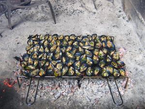 Okusi novigradske dagnje - zanimljva gastro fešta!