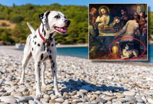 DESTINACIJA DALMACIJA 2 Dalmatinac na "Posljednjoj večeri" - Ovo su povijesni dokazi da je slavni pas autohtona hrvatska pasmina