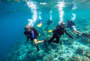 Gdje otići na početni tečaj ronjenja: U ronilački klub ili ronilački centar?