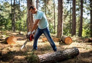 Zadarska policija kazneno prijavila muškarca zbog pustošenja šuma!
