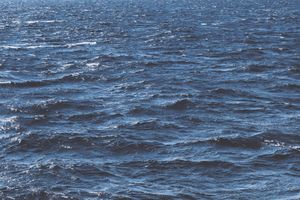 UN KONFERENCIJA Sutra kreće važan sastanak svjetskih čelnika: "Tema je zaštita mora!" Francuske vlasti zabranile pristup brodu Greenpeace-a