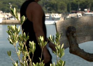 Fažana otvorila park maslina