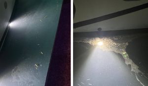 MJEŠTANI TVRDE Luksuzna jahta iz Splita izbacila fekalne vode na Molatu: "Pa ovdje se djeca kupaju!"