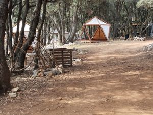 Građani prijavljuju ilegalne ugostitelje na Cresu: "U uvali Tarej zarađuju iako nemaju dozvole, a uz to se ilegalno kampira i smeće je posvuda!"