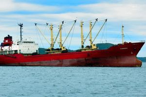 Većina pritužbi pomoraca o kršenju prava u ovoj zemlji dolazi s bulkera!