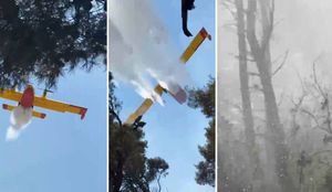 VIDEO Pogledajte kako izgleda 'tuširanje' vatrogasaca iz kanadera: "Dečki su spasili stvar!"