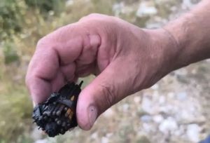 PRONAĐEN SNOP ŠIBICA Je li ovo uzrok požara od Omiša do Makarske?