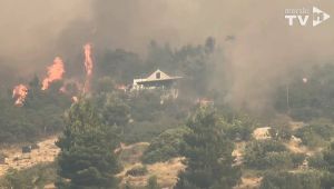 VIDEO Stalno izbijaju novi požari! Ljudi kantama gase vatru: "Neki su doslovno bježali u more!"