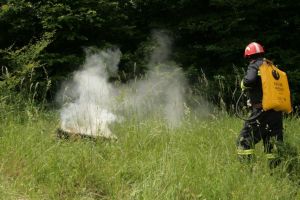 Palila panjeve unatoč zabrani loženja vatre na otvorenom - Za ovo stvarno moraš biti panj