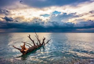 Ugrožena je sigurnost plovidbe zbog plutajućih objekata u moru splitskog arhipelaga!