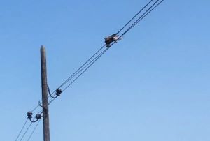 Otkriven neobičan uzrok požara na Mljetu! Pod kontrolom i ovaj i požar kod Šibenika