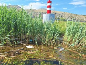 PROBLEM U SUSJEDSTVU Zagađenje Neretve nastavlja se "legalno" još 7 godina: "Smeće pluta i slijeva se u Jadran!"