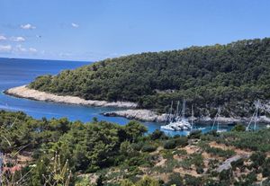 UVALA BORČE Što se događa na Hvaru? Čitatelj: "Na ilegalnom sidrištu tjeraju vas da jedete kod njih ili vas otjeraju, a ugrožena je i sigurnost kupača!"