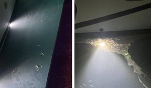 Brodari preko odvjetnice traže ispravak: "Zbog vas je podnesena prijava, na brod stigla inspekcija, provela nadzor i uzrokovala neugodnosti!"