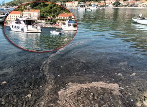 Građani ljuti: "Austrijska jahta ispušta drek na plažu i još nam mašu..."