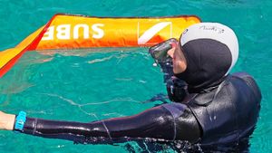 JU "MORE I KRŠ": "Livade posidonije najugroženije su u zonama slobodnog sidrenja"