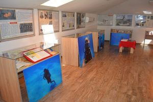 Radionica podvodne fotografije u Neumu