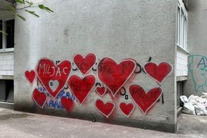 SRCEM PROTIV MRŽNJE Nakon sramotnih prijetećih poruka Miljenku Jergoviću, zdravija Hrvatska odgovorila: "Ne bojimo se, ima i nas!"