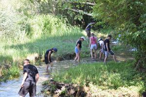 ŠTO TO GMIŽE OKO KRKE Održana 4. Junior Ranger radionica: "Budimo odgovorni spram prirode"