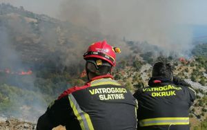 POŽAR NA ČIOVU - U pomoć pozvan i kanader