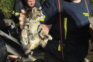 "SUVENIR S MORA" Obitelj se vraćala s odmora u Hrvatskoj, a onda je u motoru automobila čula vrlo neobičan zvuk...