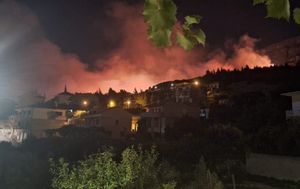 Vatrogasni zapovjednik: "Požar se pojavio na dva različita mjesta tijekom noći!"