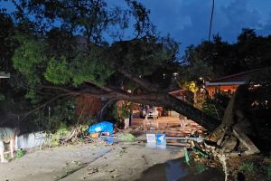 PELJEŠAC Nevrijeme pogodilo i Lovište: "Zbog srušenih stabala intervenirali vatrogasci!"