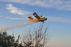 Dva požara otvorenog prostora u Istri: "Veliki požar kod Žminja gasi 40 vatrogasaca!"