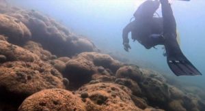 ŽRTVA KLIMATSKIH PROMJENA Umire najveći koraljni greben na Sredozemlju, onaj u Velikom mljetskom jezeru