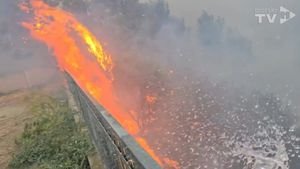 Bivši ministar objavio video gašenja: "Ovako izgleda kad vam požar dođe do vrata!"