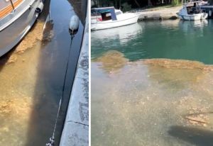 UŽAS U TROGIRU "Rijeka govana utječe u našu Fošu"