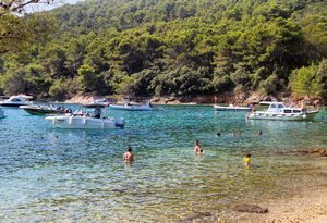 U uvali na Ugljanu sidre se kao da tu zakoni RH ne vrijede, iako je sidrenje zabranjeno 150 metara od obale prirodne plaže!